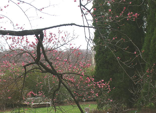 National arboretum