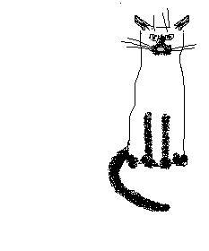 kot